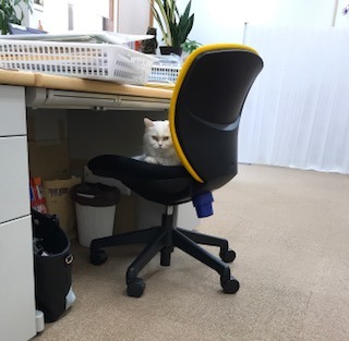 FullSizeRender.jpg