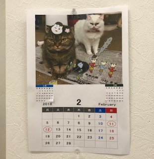 IMG_8221.jpeg