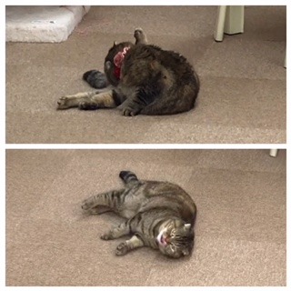 PicFrame.jpg