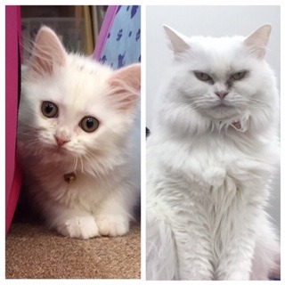 PicFrame.jpg