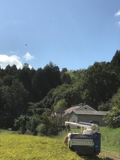 image1.JPG