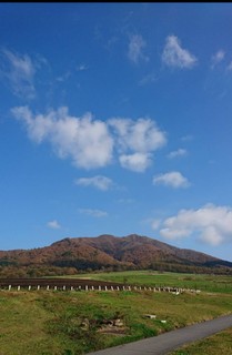 _20211023_123335.JPG