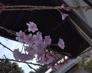 DSC_1365~2.JPG