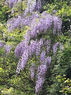 image0.jpeg