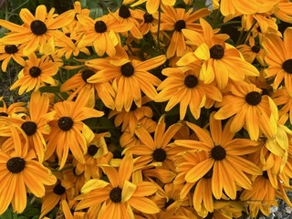 image0.jpeg