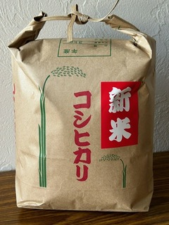 image1.jpeg