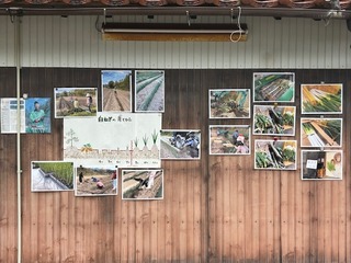 image0.jpeg