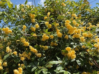 image0.jpeg