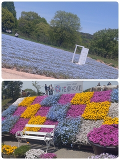 エントリ画像