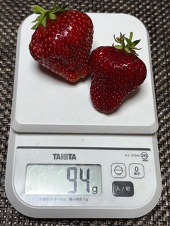 image0.jpeg