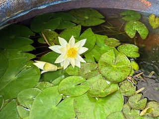 image0.jpeg